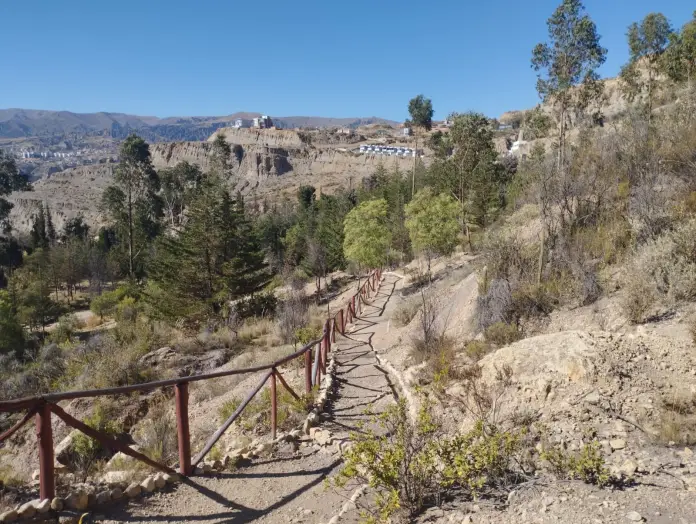 Limpian Bosquecillo de Auquisamaña