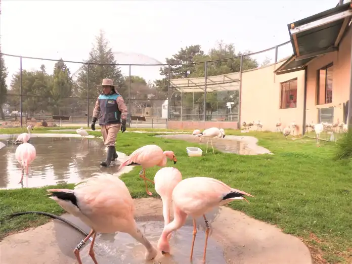 Bioparque Vesty Pakos trabajo sin visitas guiadas