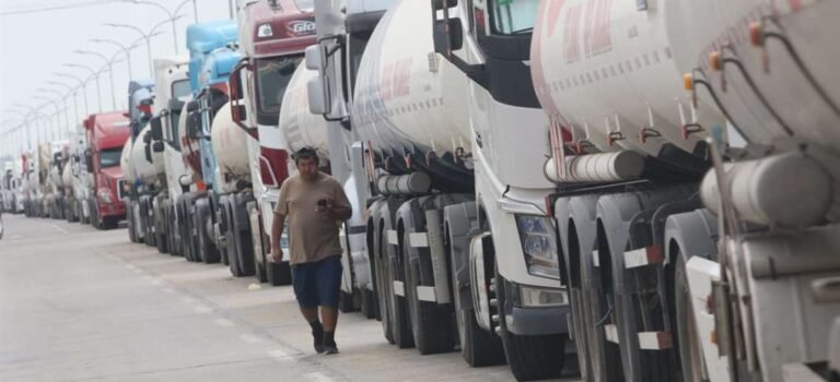 De 6 solo dos empresas van por importar combustibles