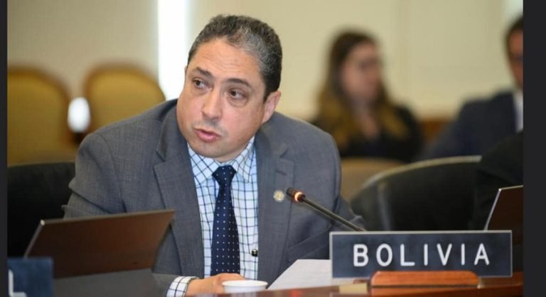 Arce que hizo fraude el 2019 a Bolivia ahora es titular de la OEA