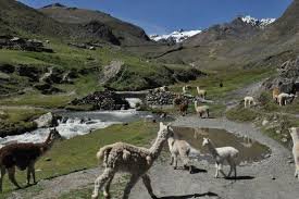 ¡INCREIBLE!: Solo por supervisar obras el gobierno pagará Bs 39 millones para tramo II Pacobamba – Charazani