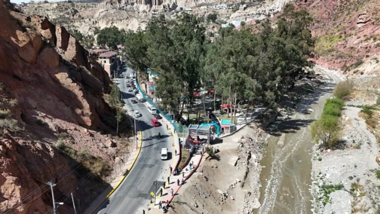 Plantan 400 especies de árboles y flores en Parque de Aranjuez
