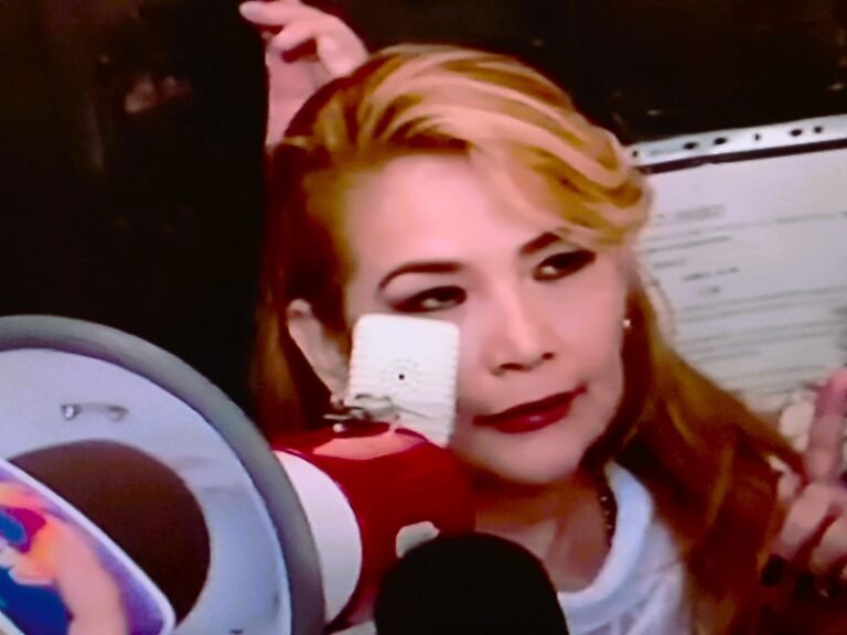 AÑEZ; “Nunca hubo un golpe, pero si FRAUDE, y se fue el MONSTRUO”