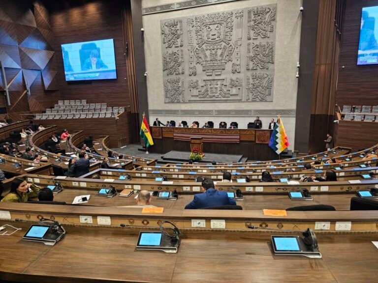 Subnacionales con 5.000 autoridades por elegir