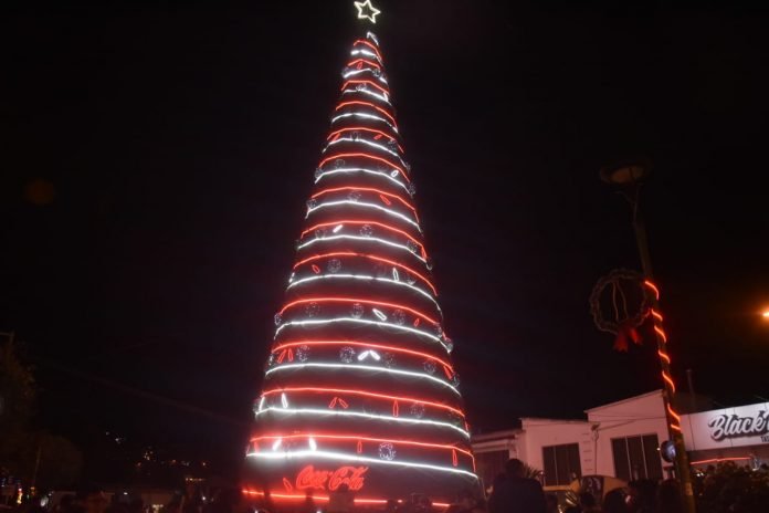Encendieron árbol de más de 25 metros en la zona Sur