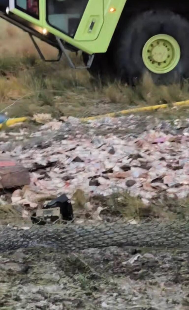 ACCIDENTE AEREO: Primer grupo de robo de billetes fue a parar a la cárcel