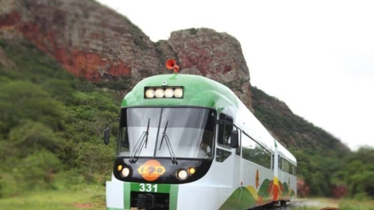 Bolivia necesita más ferrobuses como el de Santa Cruz con la Chiquitania