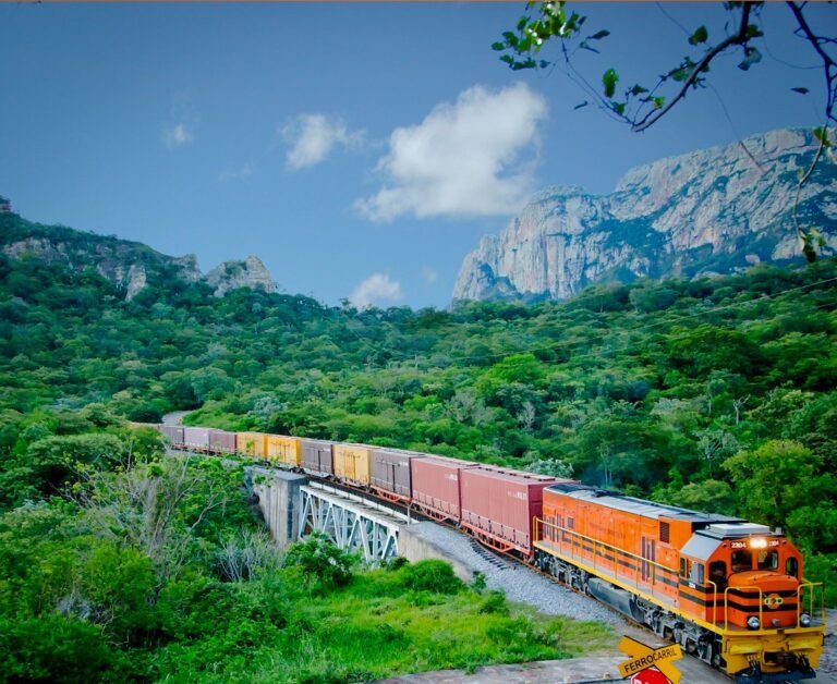Ferrobus de la Chiquitanía reinicia operaciones el viernes