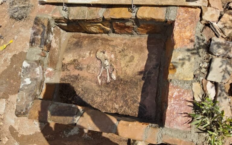 Hallan fósil petrificado en el Parque Nacional Toro Toro