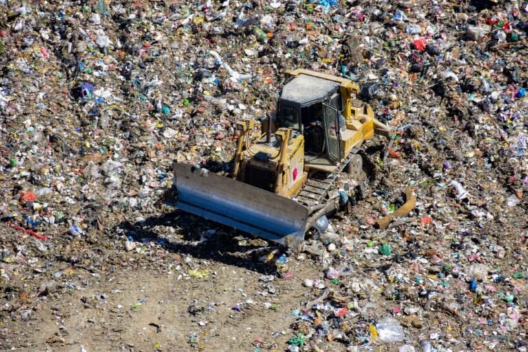 Residuos que se covierten en energía y desarrollo