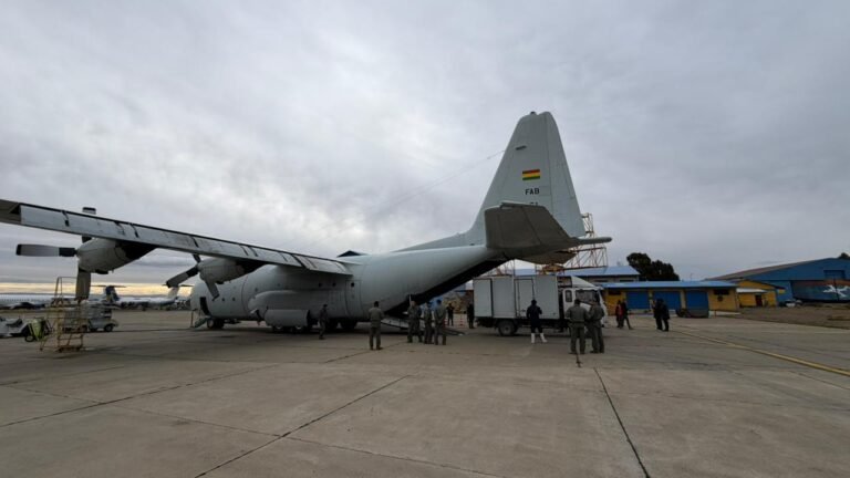 DESTACAN: Avión de Fuerza Aérea Argentina traslada 12 toneladas de pollo