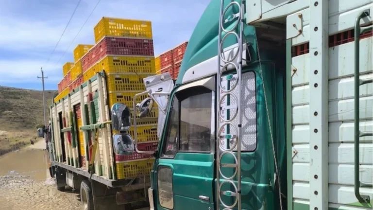 Duros ataques con piedras y dinamita en Llavini a Choferes