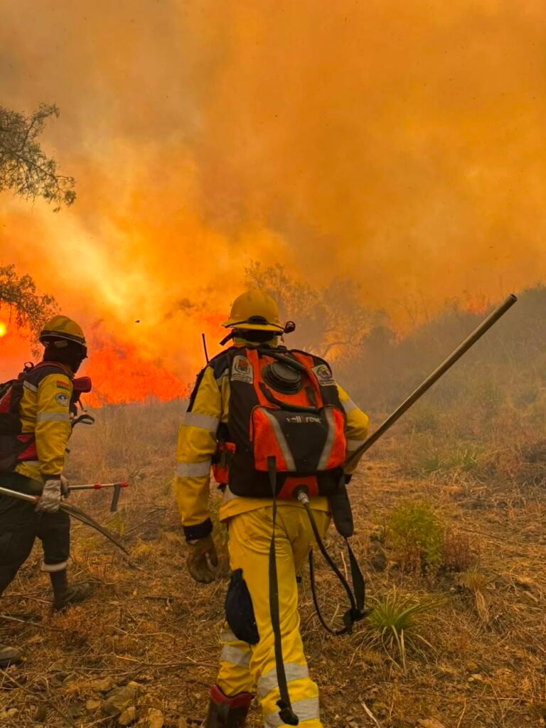 GRAVE: Bomberos controla incendio en Parque Tunari