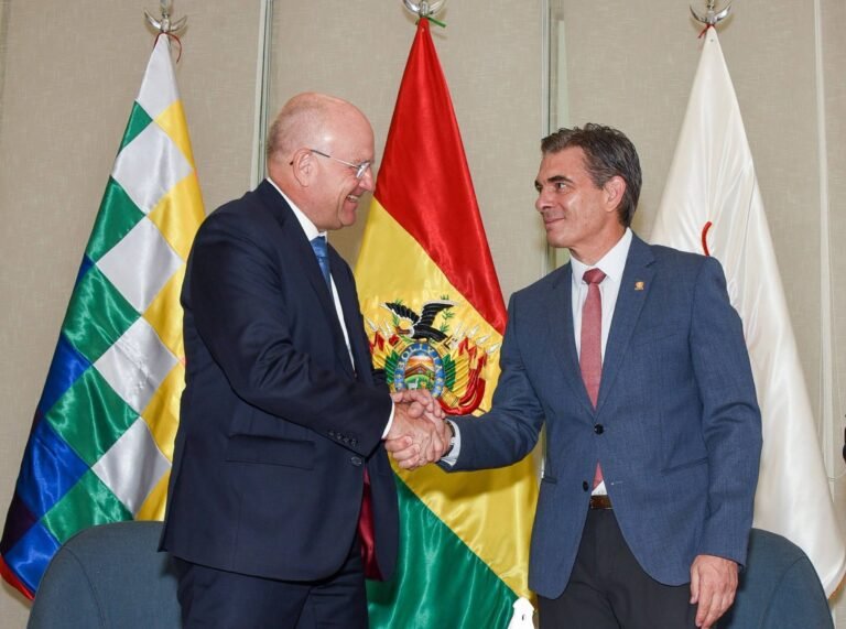 ONU señala que parte de la coca producida en Bolivia termina en mercados de droga
