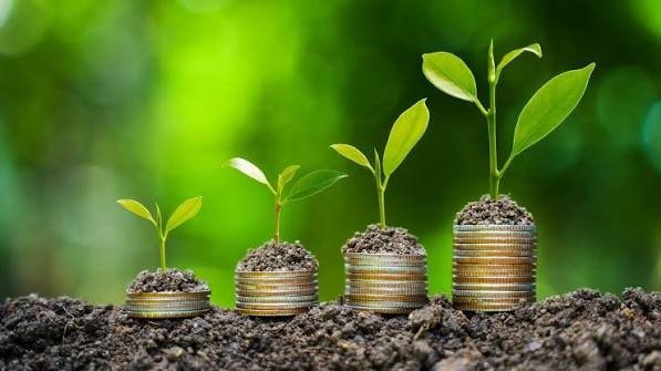 Bolivia concreta apoyo técnico de FAO en Bioeconomía