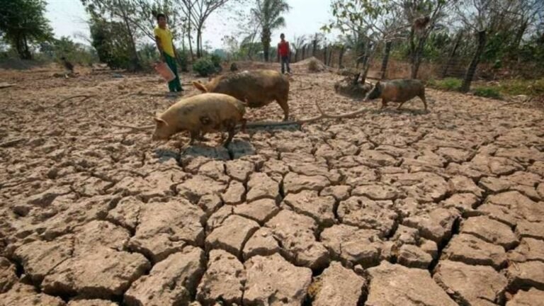 Sequía y lluvias golpean fuerte a regiones en Bolivia